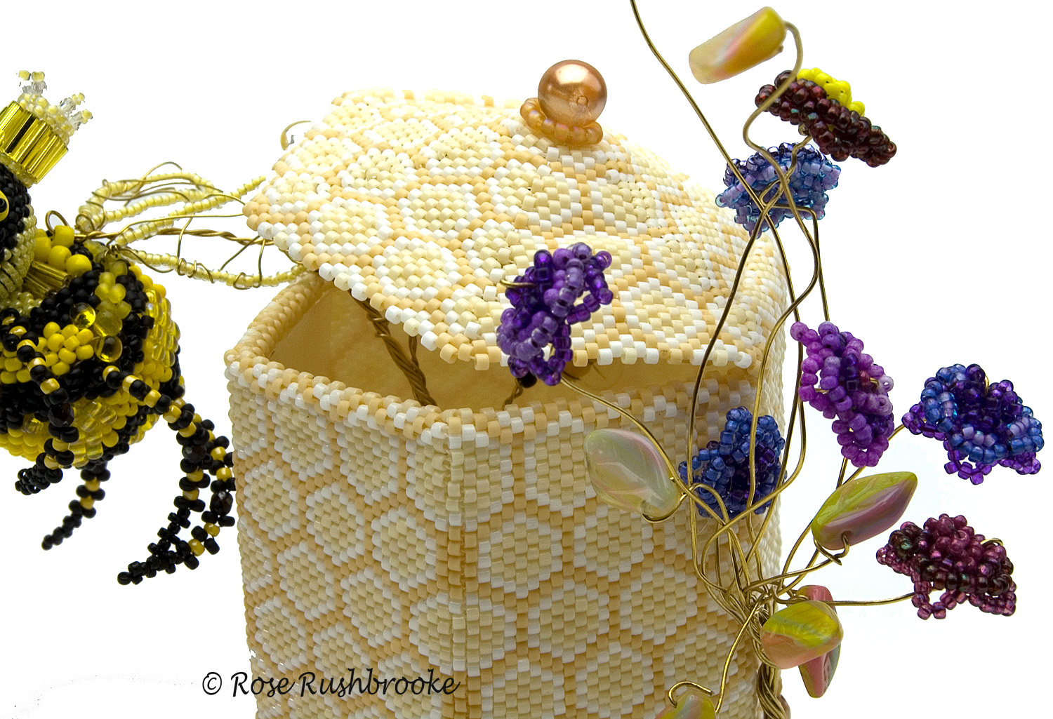 View of hive by Rose Rushbrooke. Image copyright &copy; Rose Rushbrooke.