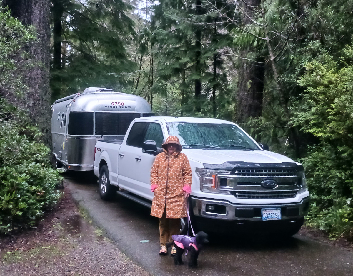 Rose C Rushbrooke and Pepper the poodle standing in front of a Flying Cloud Airstream docked in a forest. Image copyright &copy; Rose C Rushbrooke.