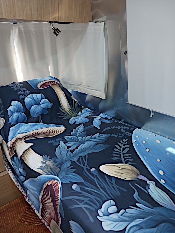 Twin bed in an Airstream covered in a mushroom print blanket. Image copyright &copy; Rose C Rushbrooke.